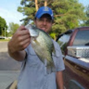 Meet your Posher, Nic